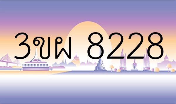 3ขผ 8228